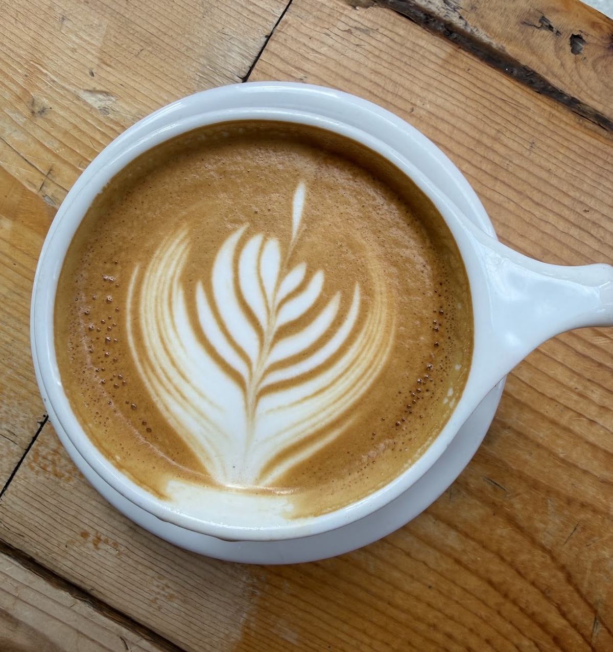 Inside Fahrenheit Coffee